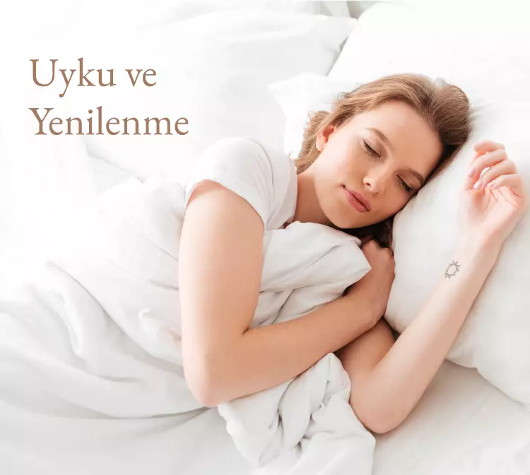 uyku, yenilenme, sirkadiyen