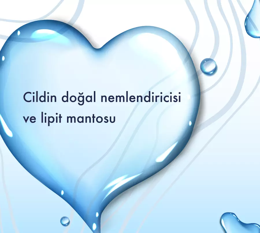 cilt bakımı, rutin adımları, nemlendirme, cilt bariyeri, Doğal Nemlendirme Faktörü, epidermal lipitler, bariyer hasarı, hydration, moisturisation