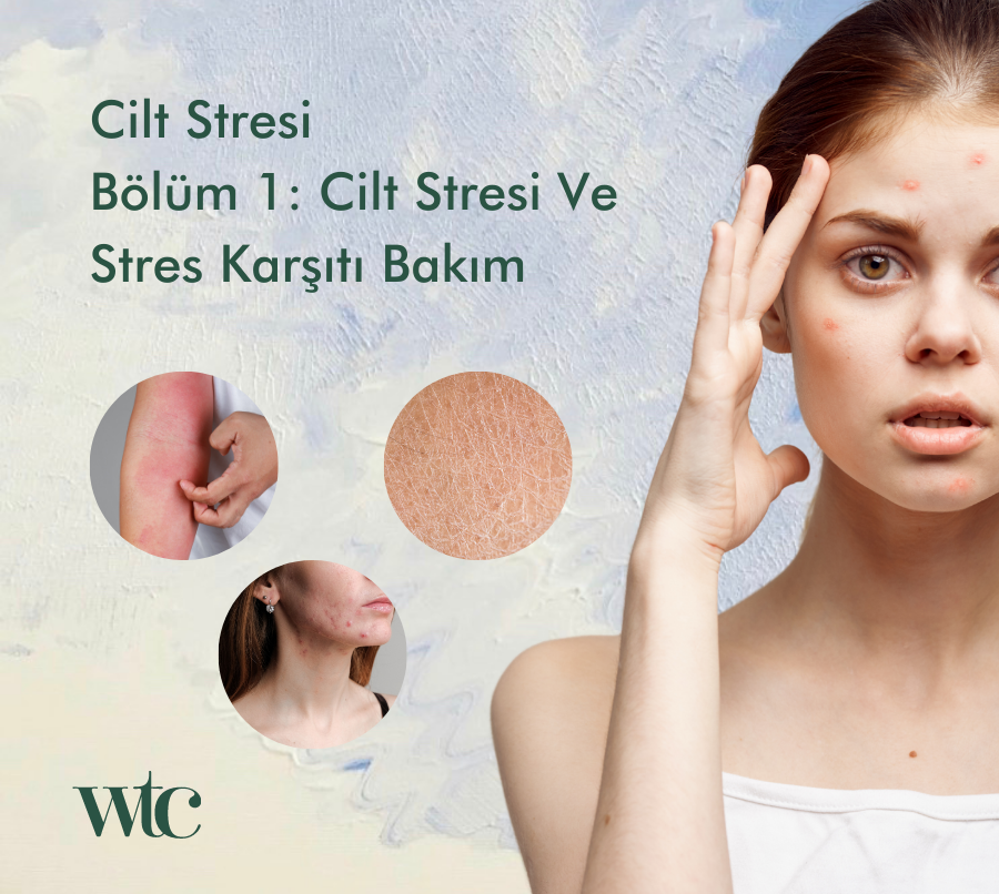 cilt stresi, anti-stress, anti-pollution, stres karşıtı bakım, ekspozom