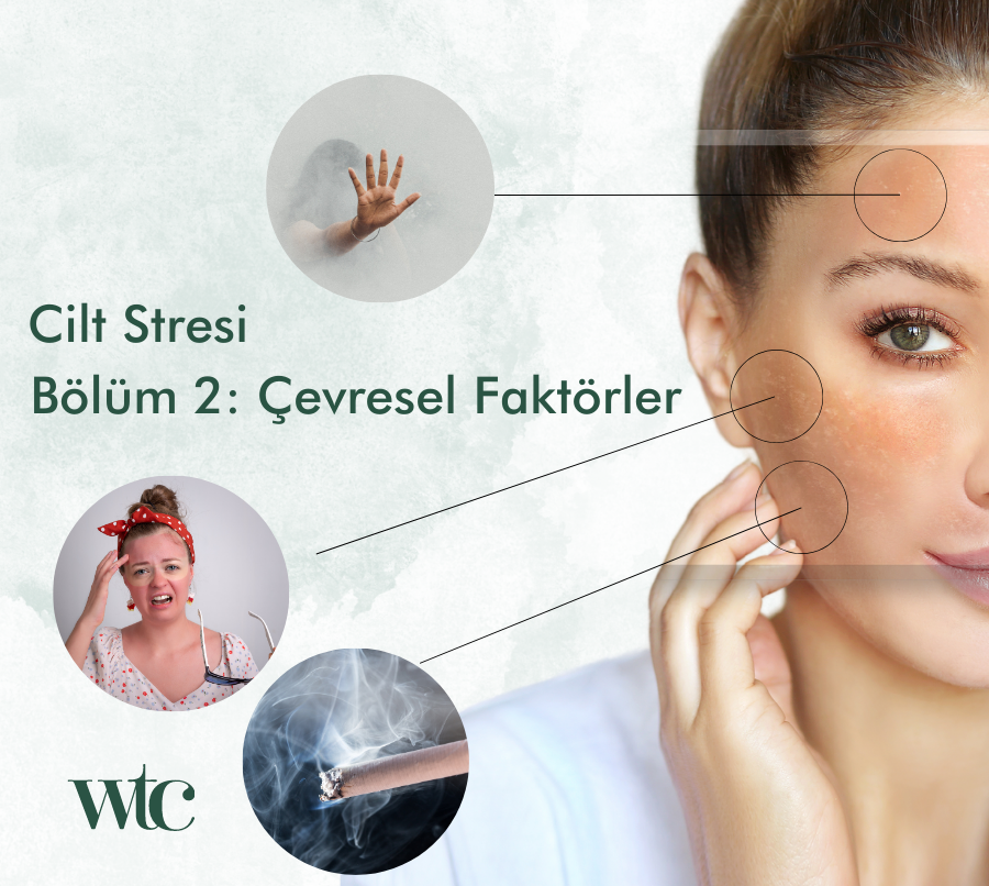cilt stresi, anti-stress, anti-pollution, çevresel faktörlerin cilt etkisi
