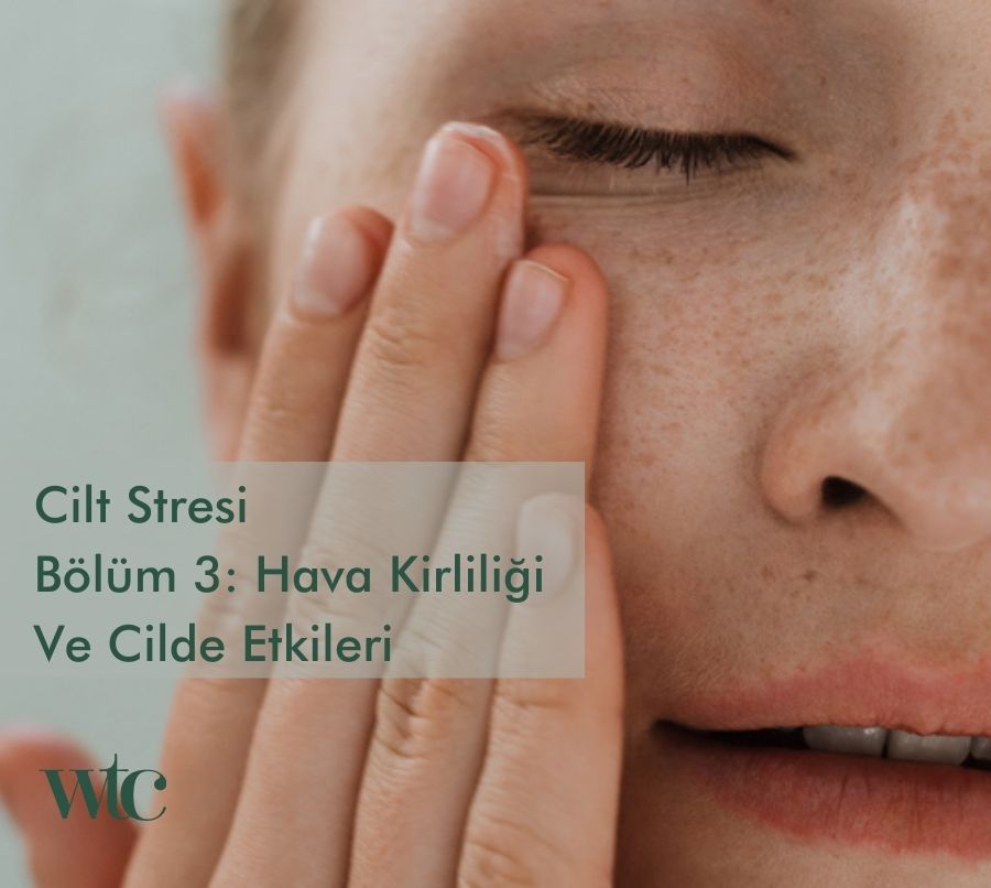 cilt stresi, hava kirliliği, oksidatif stres, inflamasyon, cilt bariyer hasarı 