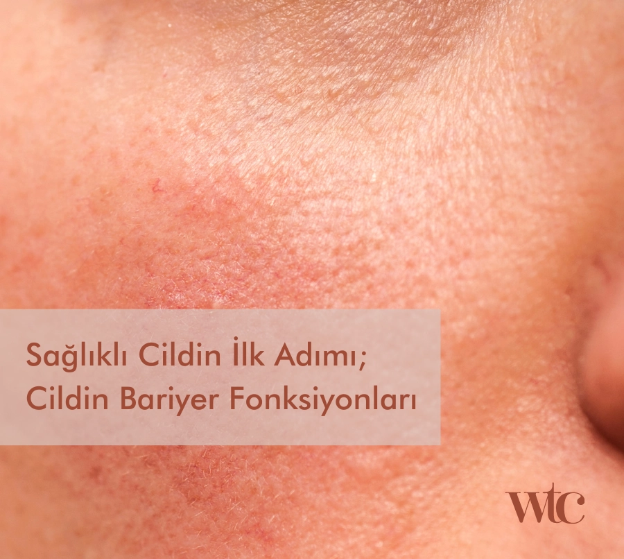 cilt bariyeri, mikrobiyom sağlığı, lipid bariyer, cildin katmanları