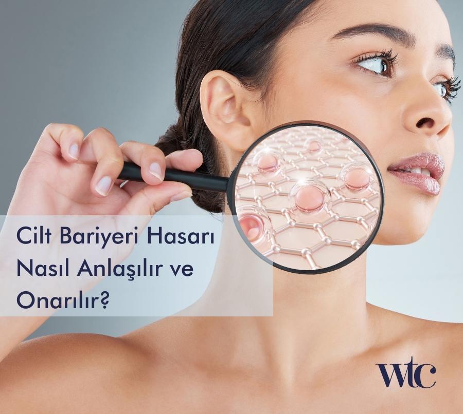cilt bariyeri,cilt bariyeri hasarı, onarım ve yenileme