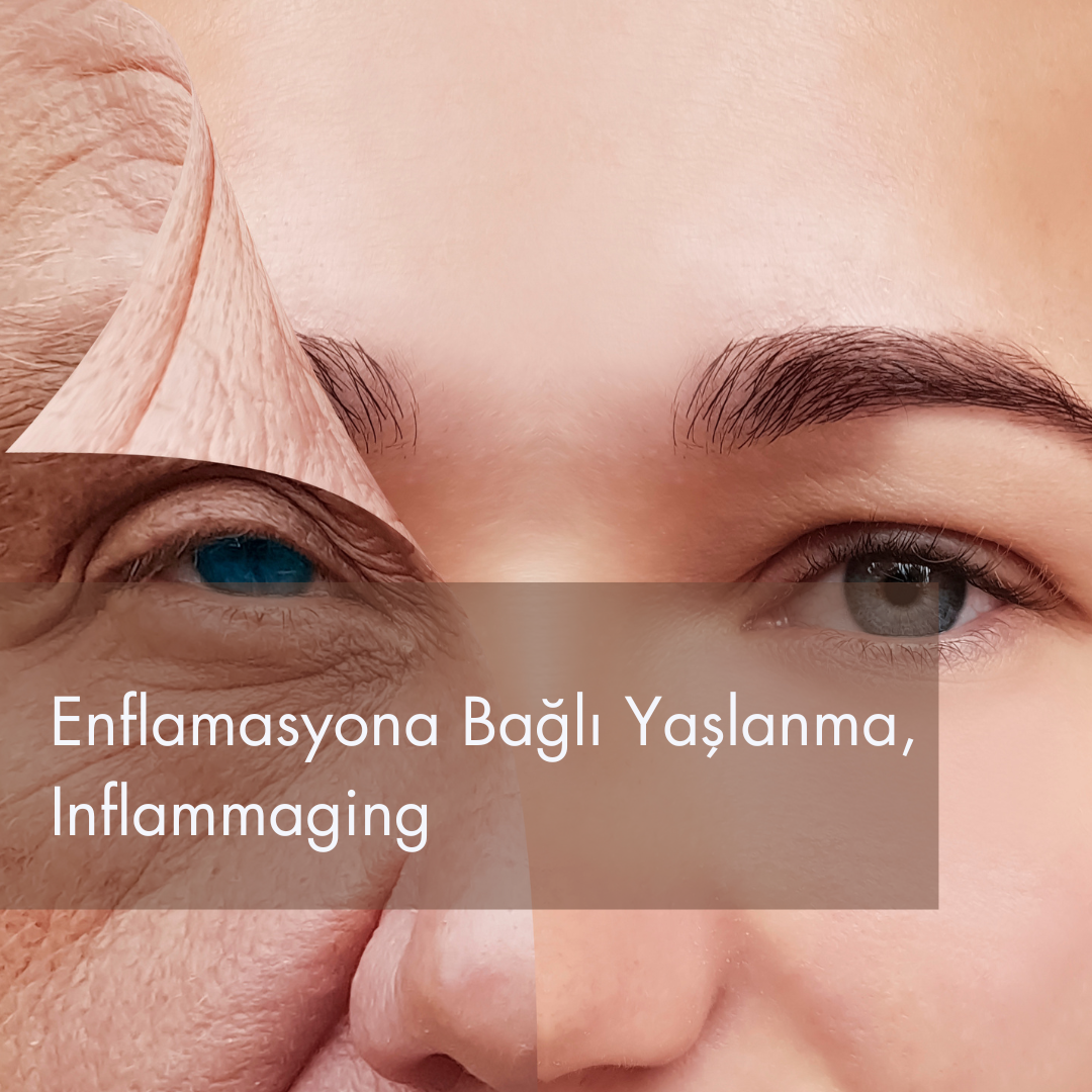 yaşlanma, yaşlanma türleri, yaşlanma engelleyici önlemler, kırışıklık, leke, onarım ve yenilenme